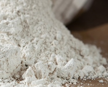 diatomaceous earth