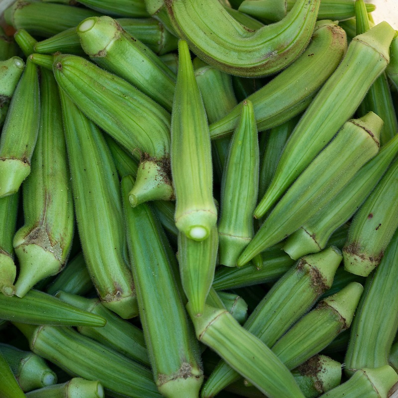 Dallas_Urban_Farming_LM_0170 okra