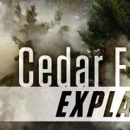 Cedar Fever Season Begins in Texas