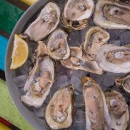 TPWD Closing Oyster Harvest Area in Lavaca Bay