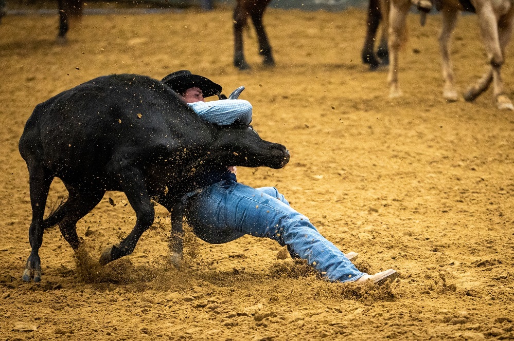 Trace Harris at Rodeo