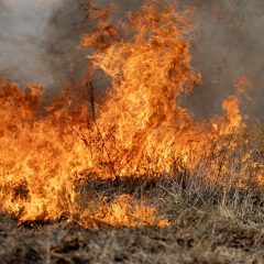 Prepare for Wildfires as Potential Continues