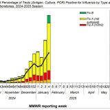 Flu A Most Common in North East Texas