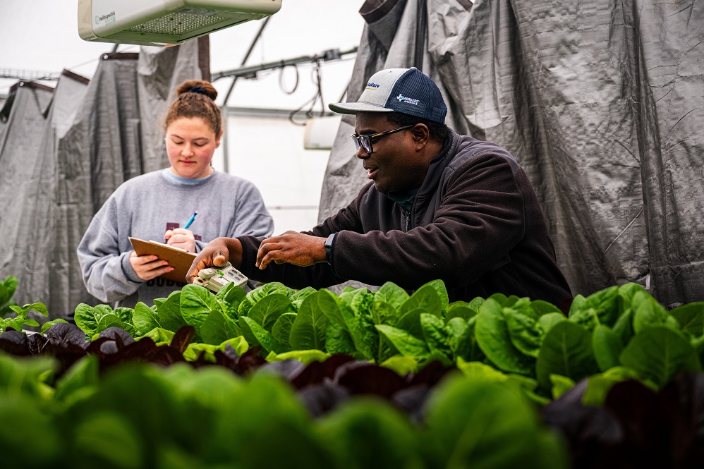 Student and faculty engage in ag research at East Texas A&M | East Texas A&M Office of Marketing and Communications